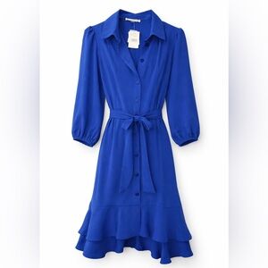 Danny & Nicole Royal Blue Button Front Belted Dress Size 6 NWT